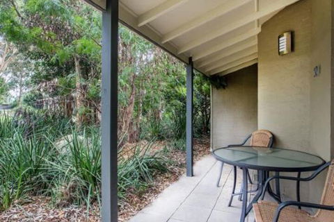 Port Stephens Koala Sanctuary - Accommodation Bookings 5