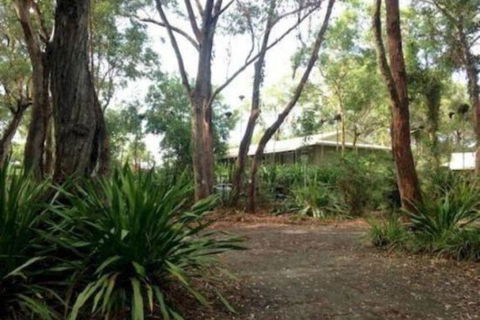 Port Stephens Koala Sanctuary - Accommodation Bookings 2