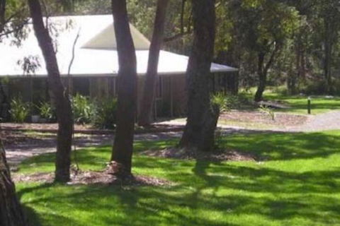 Port Stephens Koala Sanctuary - Accommodation Bookings 6