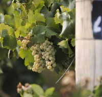 Ingenia Holidays Mudgee Valley - Accommodation Bookings