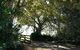 Maleny Mountain Retreat - thumb 0