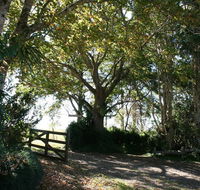 Maleny Mountain Retreat - Accommodation Bookings
