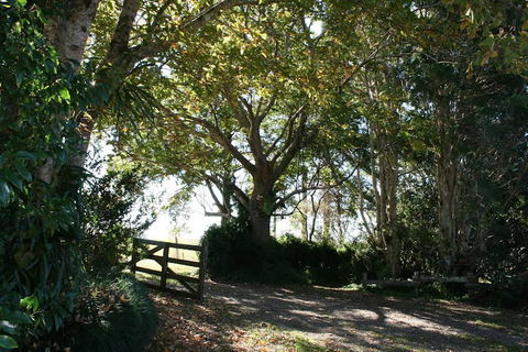Maleny Mountain Retreat - Accommodation Bookings 0