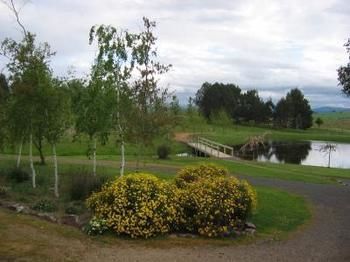 Buttercup Cottage & Private Apartment - Accommodation Bookings 3