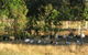 Armadale Farmstay Bed & Breakfast - thumb 5