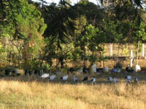 Armadale Farmstay Bed & Breakfast - Accommodation Bookings 5