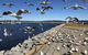 Albany Foreshore Guest House - thumb 4