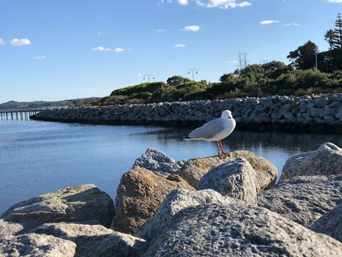 Albany Foreshore Guest House - Accommodation Bookings 3