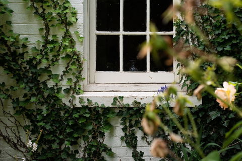 Fitzpatrick's Inn - Accommodation Bookings 0