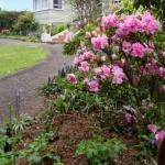 Anabels Of Scottsdale - Accommodation Bookings 0