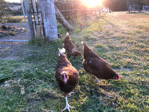 Bryn Glas Farm Stay - Accommodation Bookings 0