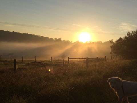 Bryn Glas Farm Stay - Accommodation Bookings 2