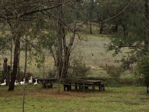 Wildwood Guesthouse - Accommodation Bookings 1