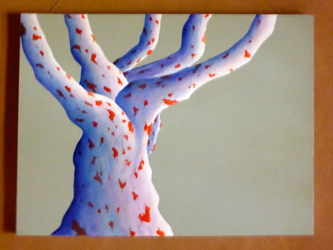 Wildwood Guesthouse - Accommodation Bookings 4