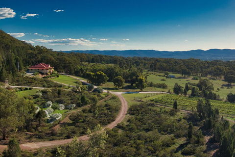 The Mudgee Homestead Guesthouse - Accommodation Bookings 3