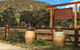 The Mudgee Homestead Guesthouse - thumb 1