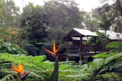 The Oasis At One Mile Beach - Accommodation Bookings 2