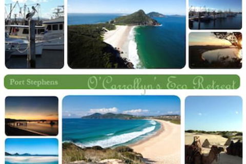 The Oasis At One Mile Beach - Accommodation Bookings 5
