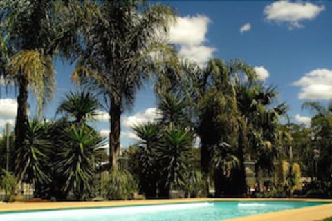 Echuca Motel - Accommodation Bookings 0