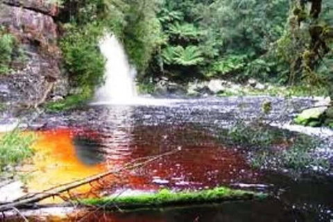 Aldermere Estate - Accommodation Bookings 3
