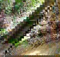 Rainforest Hideaway - Accommodation Bookings