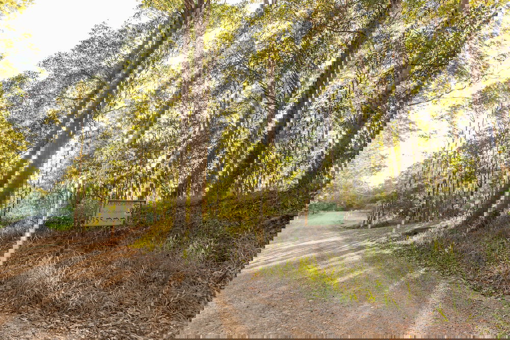 Ringtail Creek QLD Accommodation Bookings