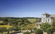 Morning Sun Vineyard - thumb 0