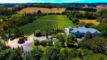 Morning Sun Vineyard - Accommodation Bookings 4