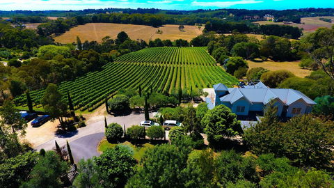 Morning Sun Vineyard - Accommodation Bookings 5