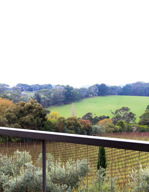 Morning Sun Vineyard - Accommodation Bookings 3