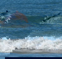 Summerhills Retreat Byron Bay - Accommodation Bookings