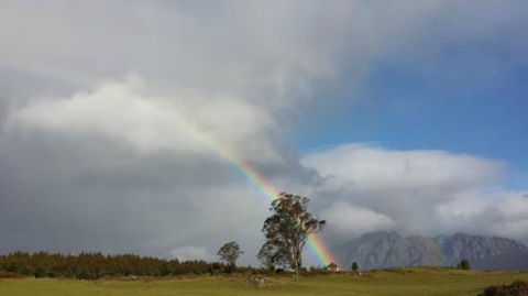 AAA Granary Accommodation - Accommodation Bookings 4