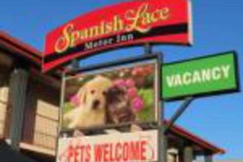 Spanish Lace Motor Inn - Accommodation Bookings 0