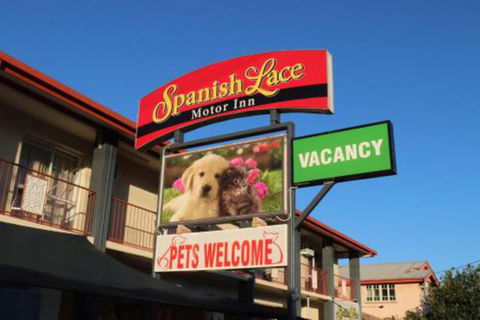 Spanish Lace Motor Inn - Accommodation Bookings 3
