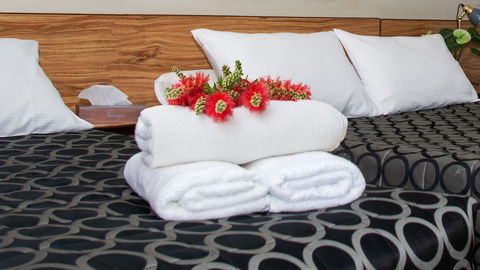 Aalbany Motel - Accommodation Bookings 5