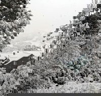 Alpenhorn - Accommodation Bookings