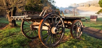 Toorongo VIC Accommodation Bookings