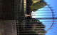Greengate Bed & Breakfast - thumb 2