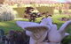 Springbank Bed & Breakfast - thumb 0