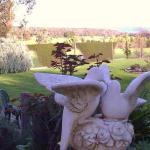 Springbank Bed & Breakfast - Accommodation Bookings 0