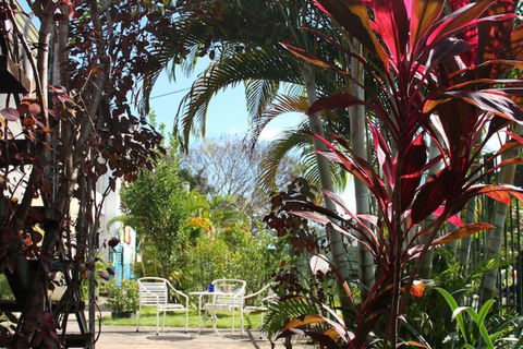 Asylum Cairns Hostel - Accommodation Bookings 3