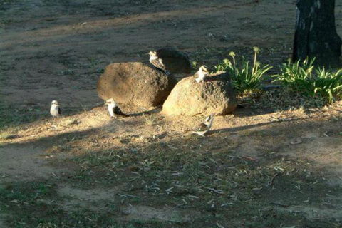 Riverview Motel Deniliquin - Accommodation Bookings 2