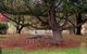 Auburn Shiraz Motel - thumb 0