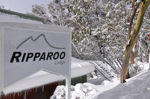 Ripparoo Ski Lodge - Accommodation Bookings 1