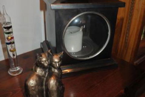 The Pommy Tree - Accommodation Bookings 2