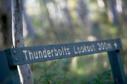 16 Gregson Silky Oaks - Accommodation Bookings 6