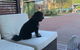 Mulwala Resort - thumb 5