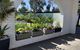 Mulwala Resort - thumb 2