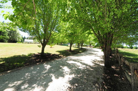 Daisy Cottage - Accommodation Bookings 7