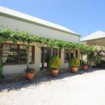 Daisy Cottage - Accommodation Bookings 1